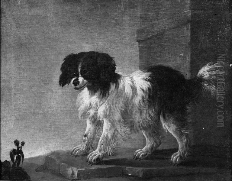 Bolognese Dog Oil Painting by Philipp Peter Roos