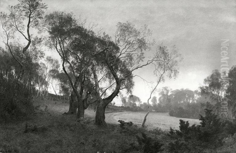 Taget efterarsmorgen i udkanten af en birkeskov. Motiv fra egnen ved Silkeborg Oil Painting by Janus Andreas Bartholin La Cour