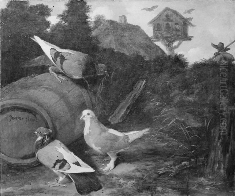 Three Pigeons Oil Painting by Jacomo Victors