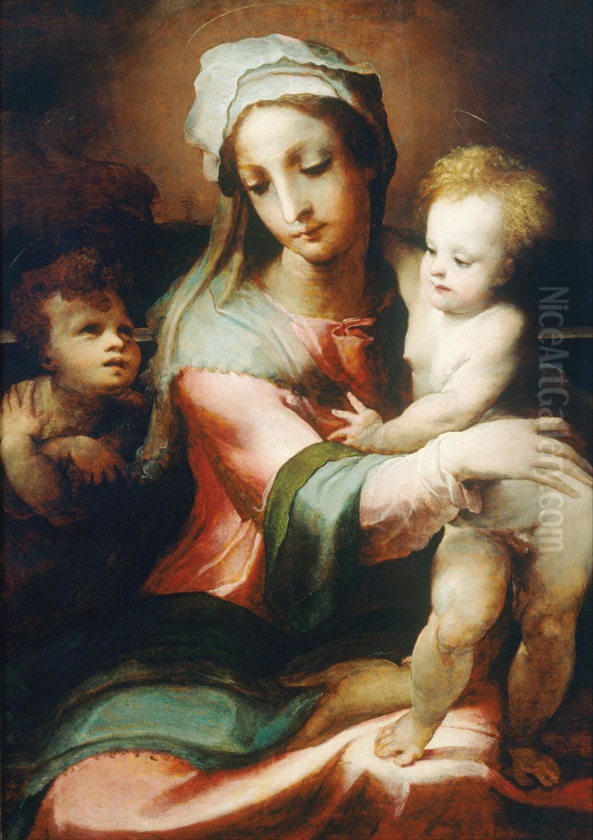 Madonna and child with infant John the Baptist Oil Painting by Domenico Beccafumi