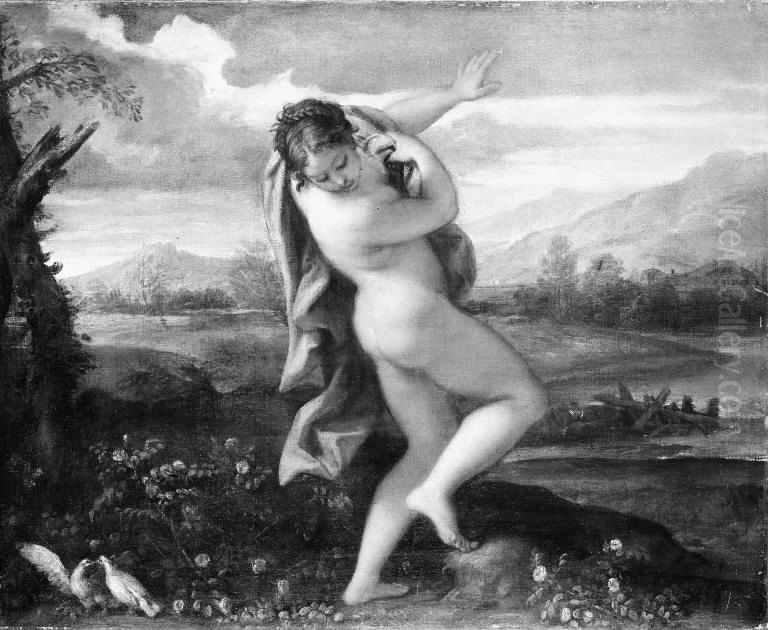 The Origin of the Red Rose Oil Painting by Carlo Maratta or Maratti