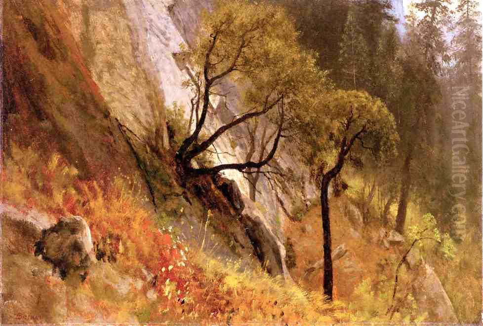 Landscape Study, Yosemite California Oil Painting by Albert Bierstadt