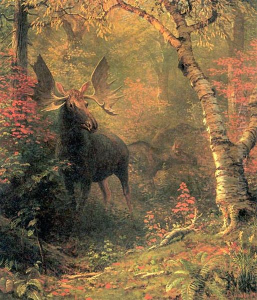 Moose in a Forest Glen Oil Painting by Albert Bierstadt