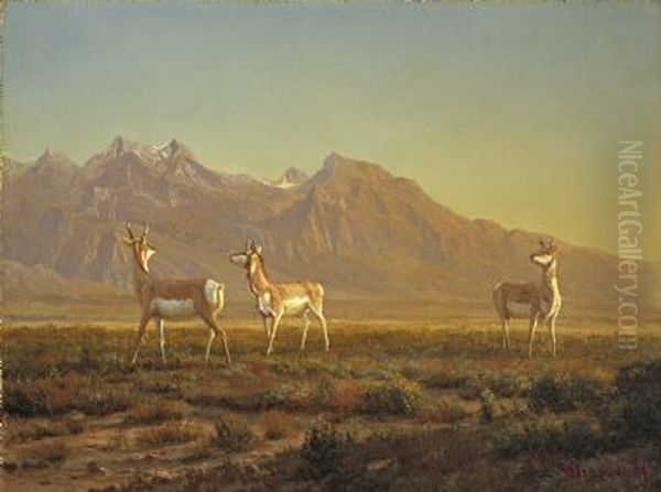 Prong-Horned Antelope with the Grand Tetons Beyond Oil Painting by Albert Bierstadt