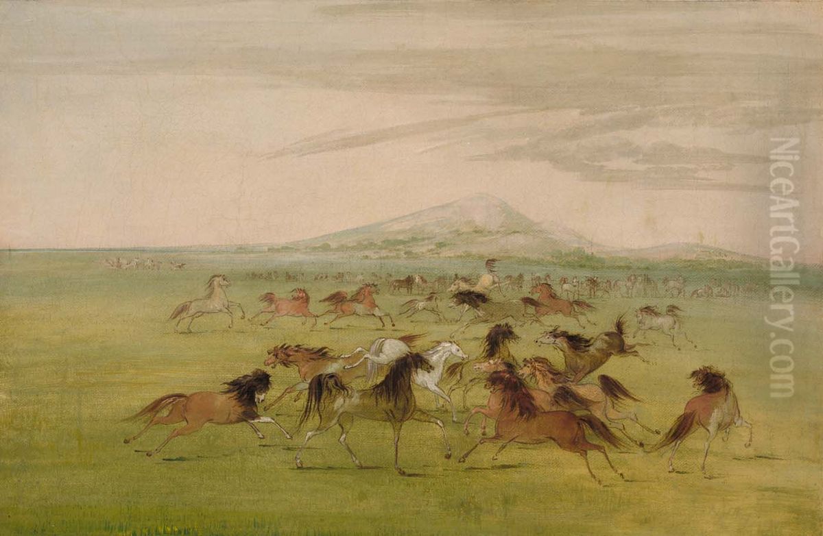 Wild Horses at Play Oil Painting by George Catlin