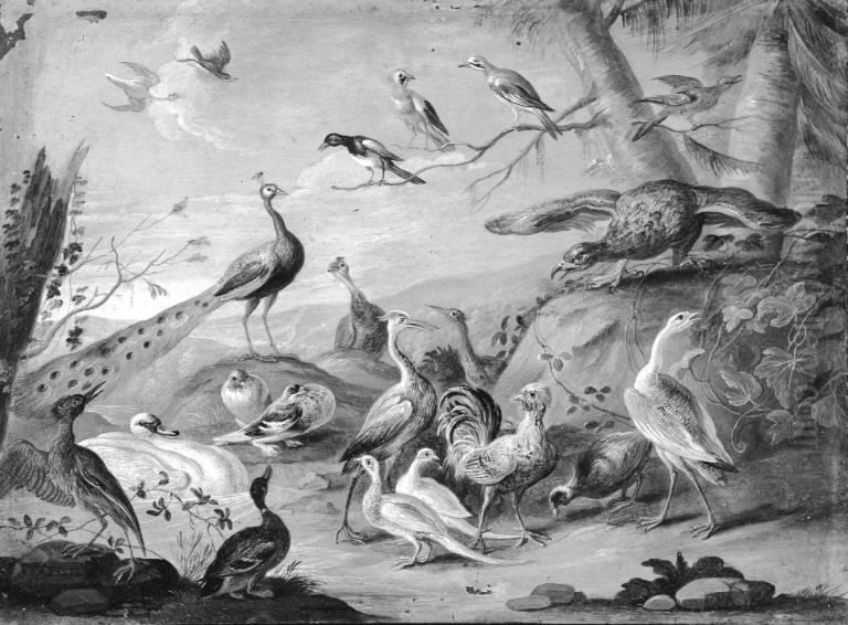 A Hilly Landscape with a Peacock, an Eagle and other Birds Oil Painting by Jan van Kessel the Elder