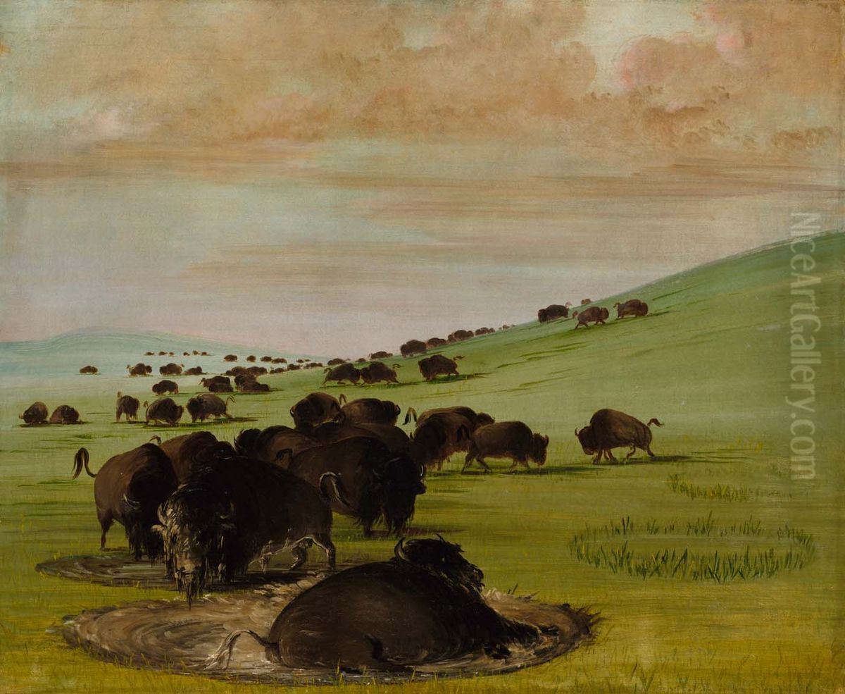Buffalo Bulls in a Wallow Oil Painting by George Catlin