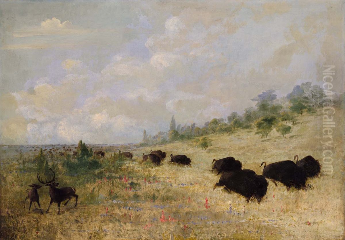 Elk and Buffalo Grazing among Prairie Flowers, Texas Oil Painting by George Catlin