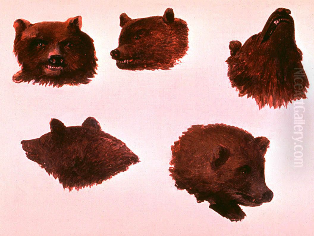 Portraits of Two Grizzly Bears, From Life Oil Painting by George Catlin
