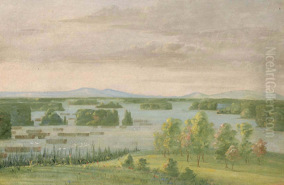Lac du Cygne (Swan Lake), Near the Coteau des Prairies Oil Painting by George Catlin