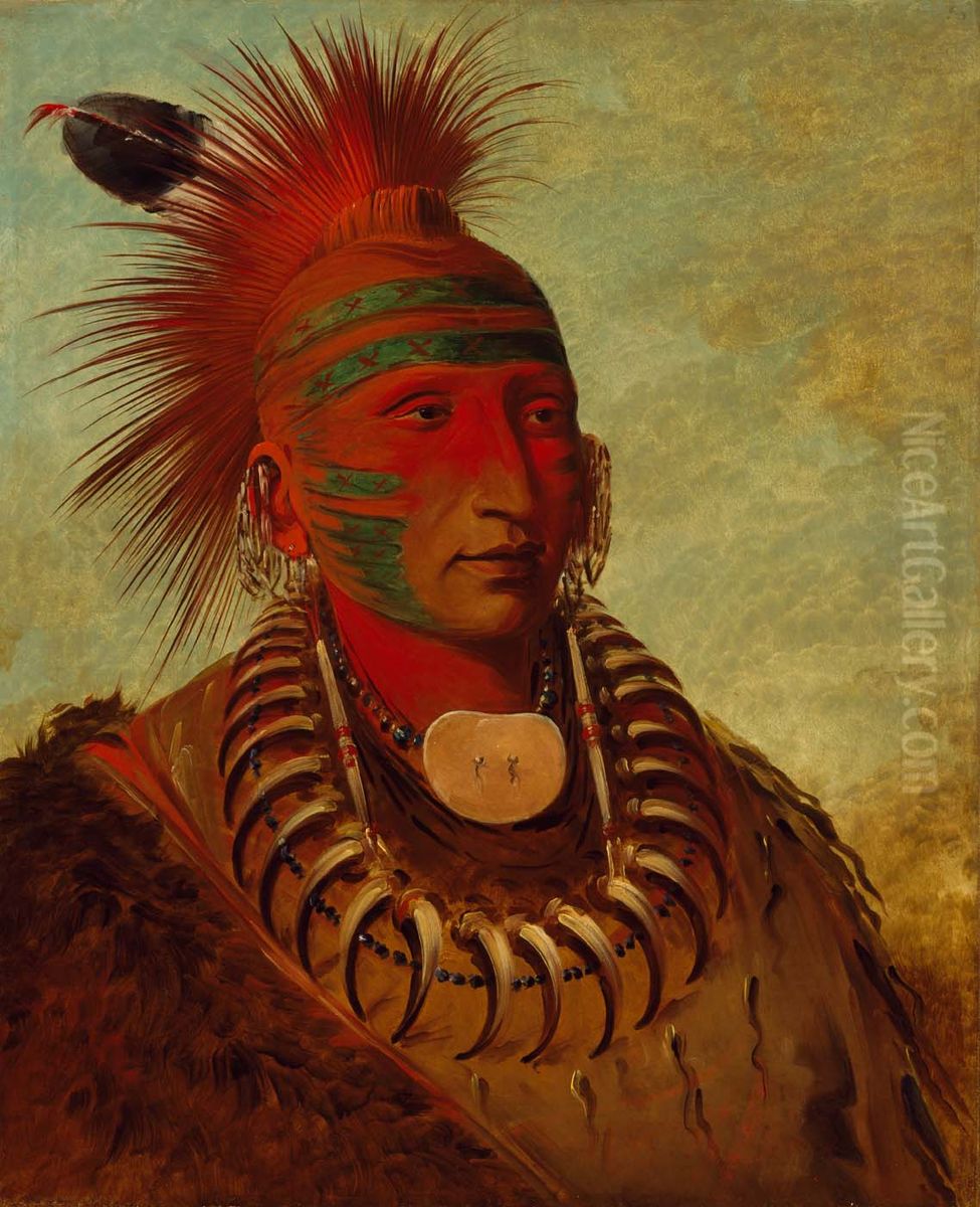 No-ho-mun-ya, One Who Gives No Attention Oil Painting by George Catlin