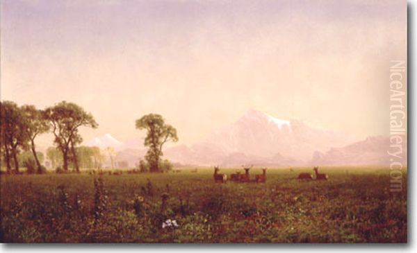 Elk Grazing in the Wind River Country Oil Painting by Albert Bierstadt