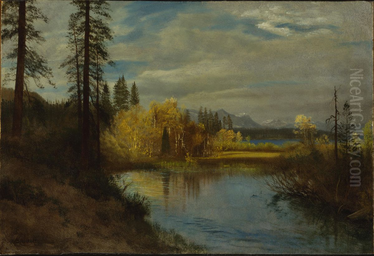 Outlet at Lake Tahoe Oil Painting by Albert Bierstadt