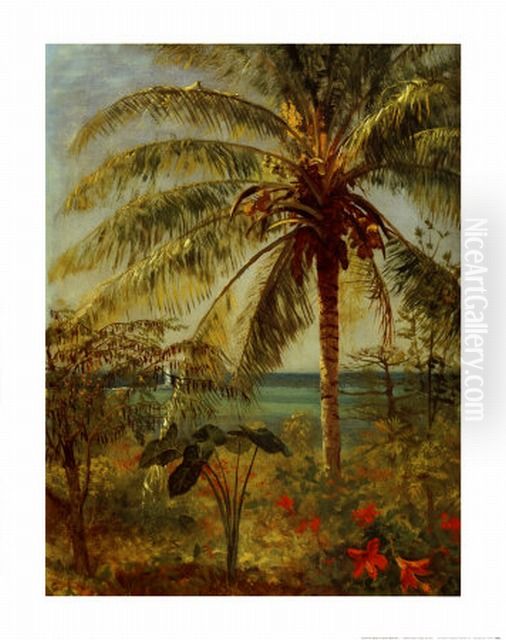 Palm Tree, Nassau Oil Painting by Albert Bierstadt