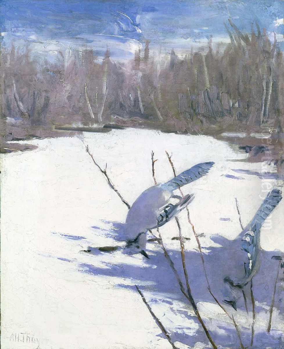 Blue Jays in Winter, study for book Concealing Coloration in the Animal Kingdom Oil Painting by Abbott Handerson Thayer