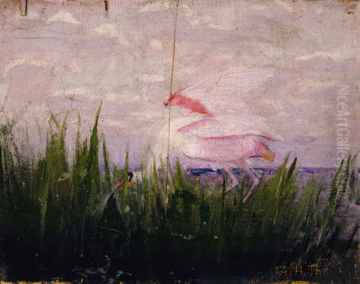 Roseate Spoonbill, study for book Concealing Coloration in the Animal Kingdom Oil Painting by Abbott Handerson Thayer
