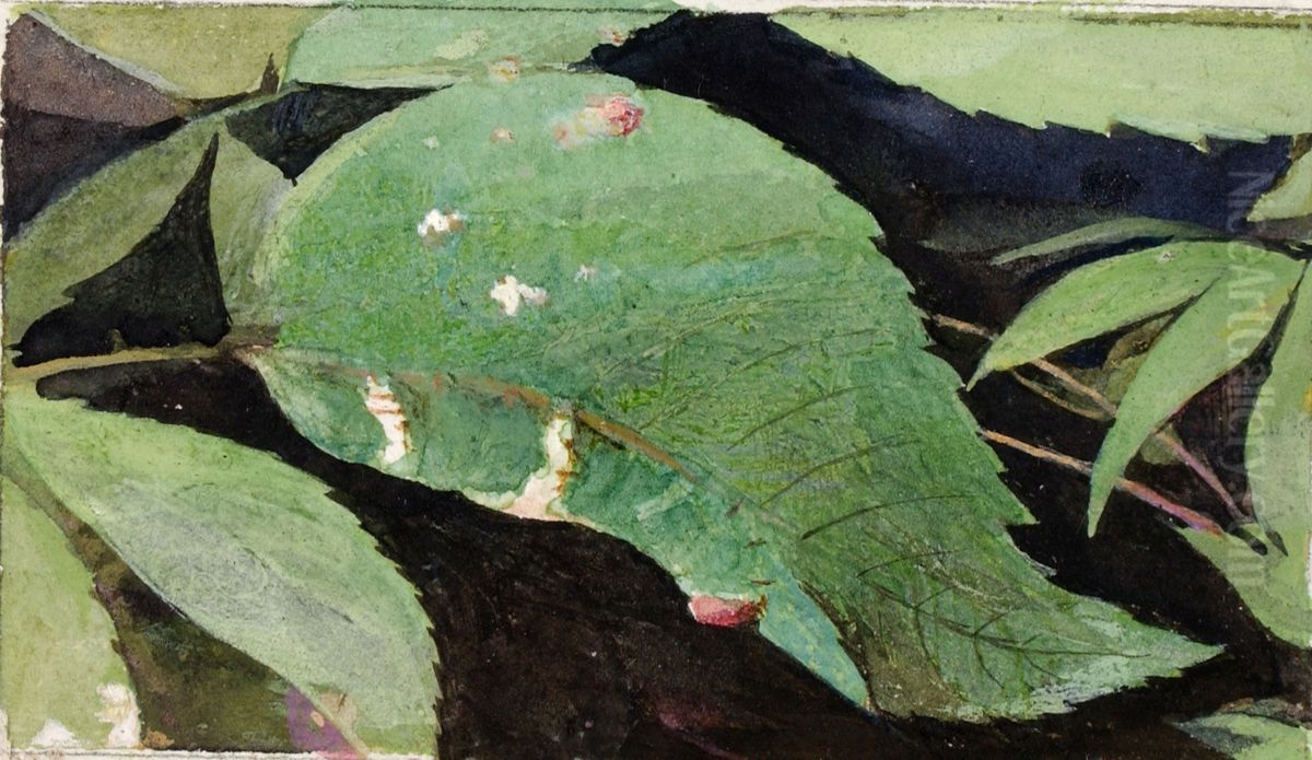 White Birch Leaf Edge Caterpillar, study for book Concealing Coloration in the Animal Kingdom Oil Painting by Emma Beach Thayer