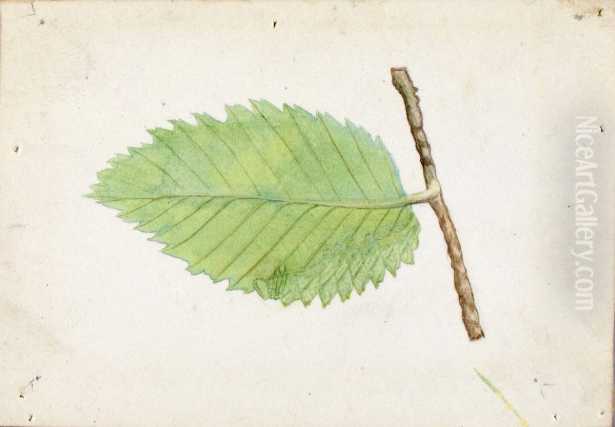 Jagged Leaf Edge Caterpillar, study for book Concealing Coloration in the Animal Kingdom Oil Painting by Gerald H. Thayer