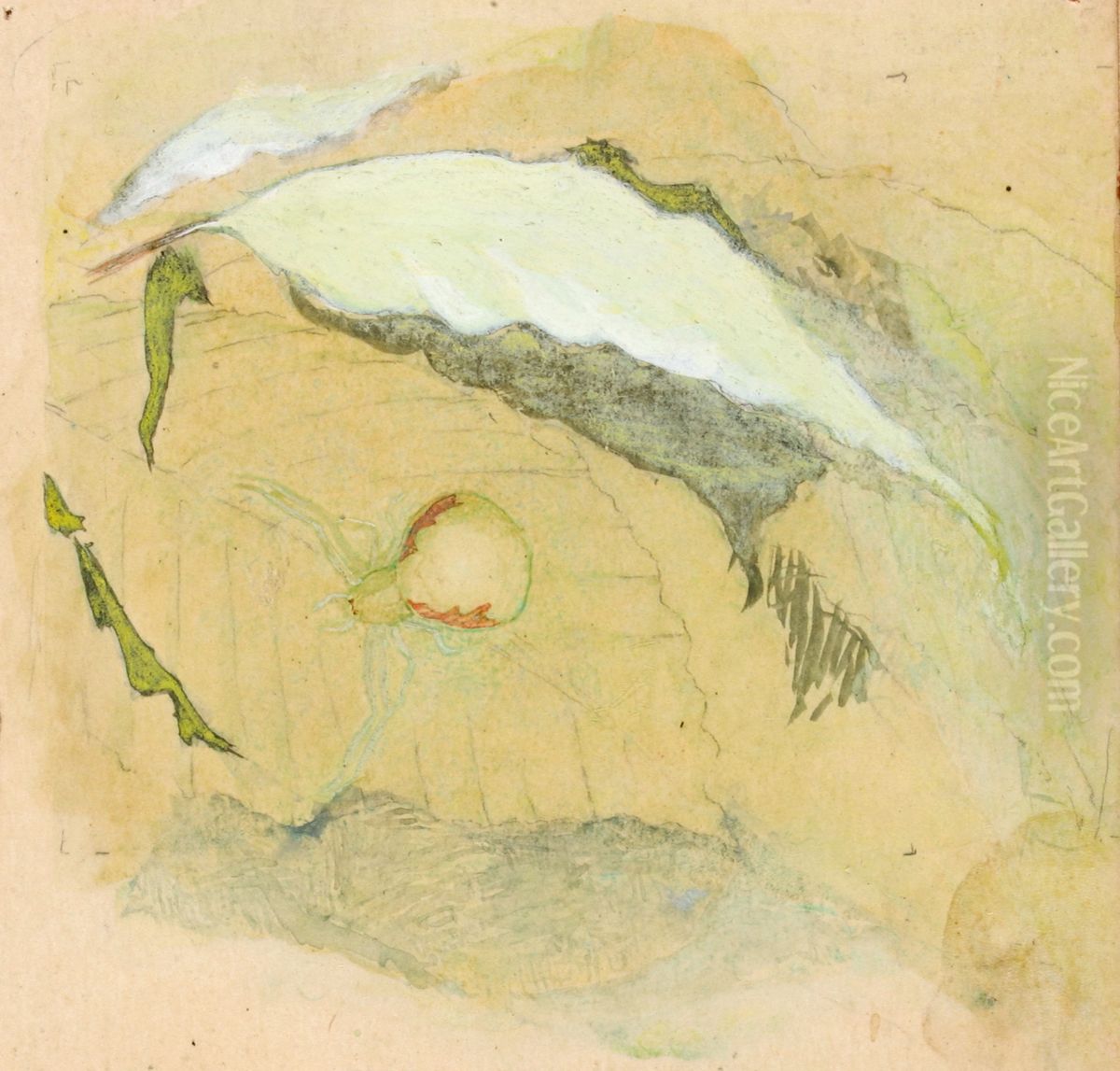 Porcelain-White Spider Oil Painting by Emma Beach Thayer