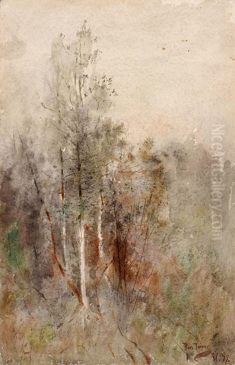 A Tree Study Oil Painting by Ross Turner