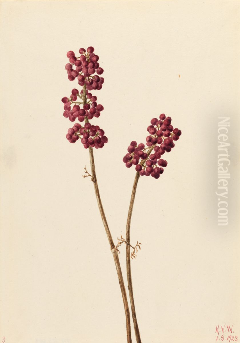 Beauty Berry (Callicarpa americana) Oil Painting by Mary Vaux Walcott