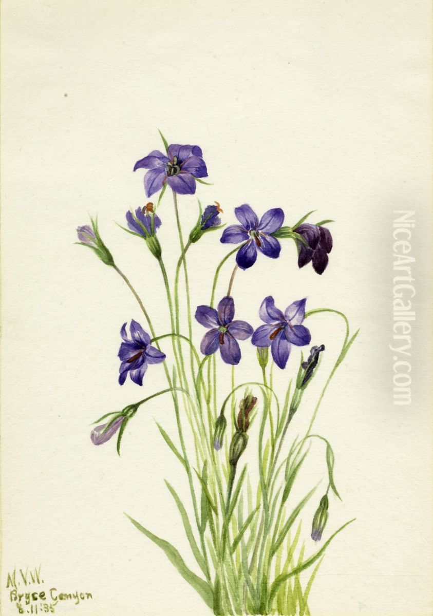 Bellflower (Campanula) Oil Painting by Mary Vaux Walcott