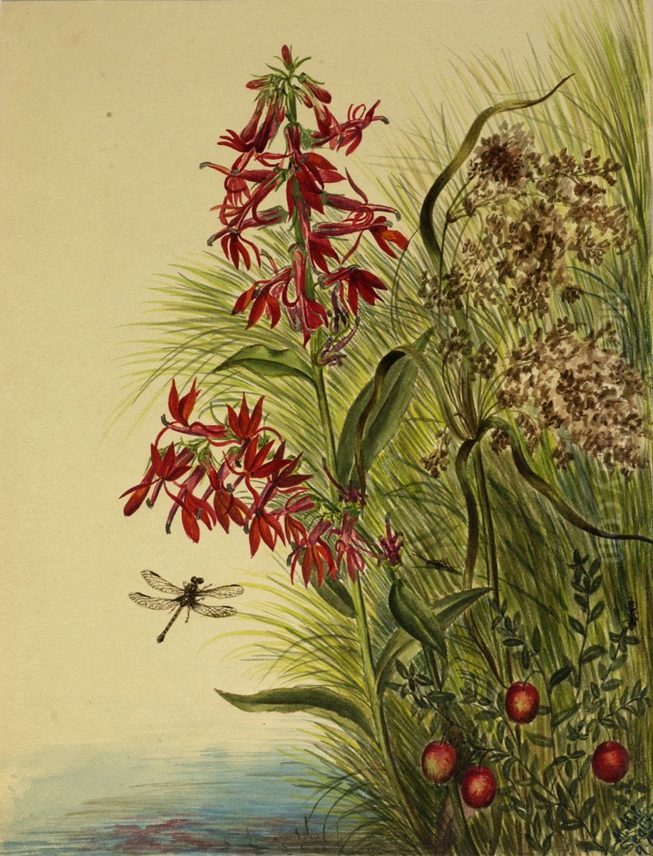Cardinal Flower (Lobelia cardinalis) Oil Painting by Mary Vaux Walcott