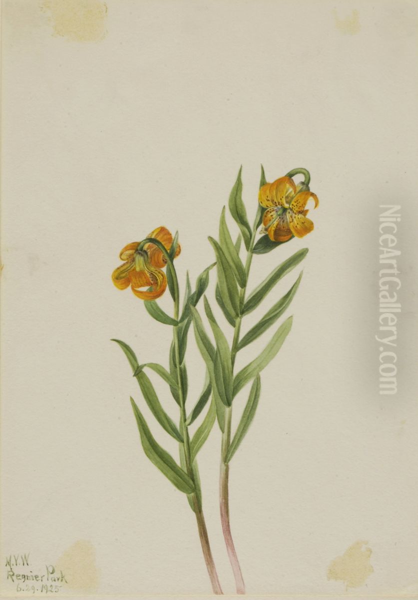 Columbia Lily (Lilium columbianum) Oil Painting by Mary Vaux Walcott