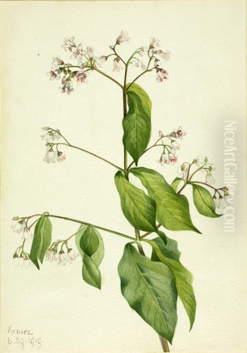 Dogbane (Apocyum androsaemfolium) Oil Painting by Mary Vaux Walcott