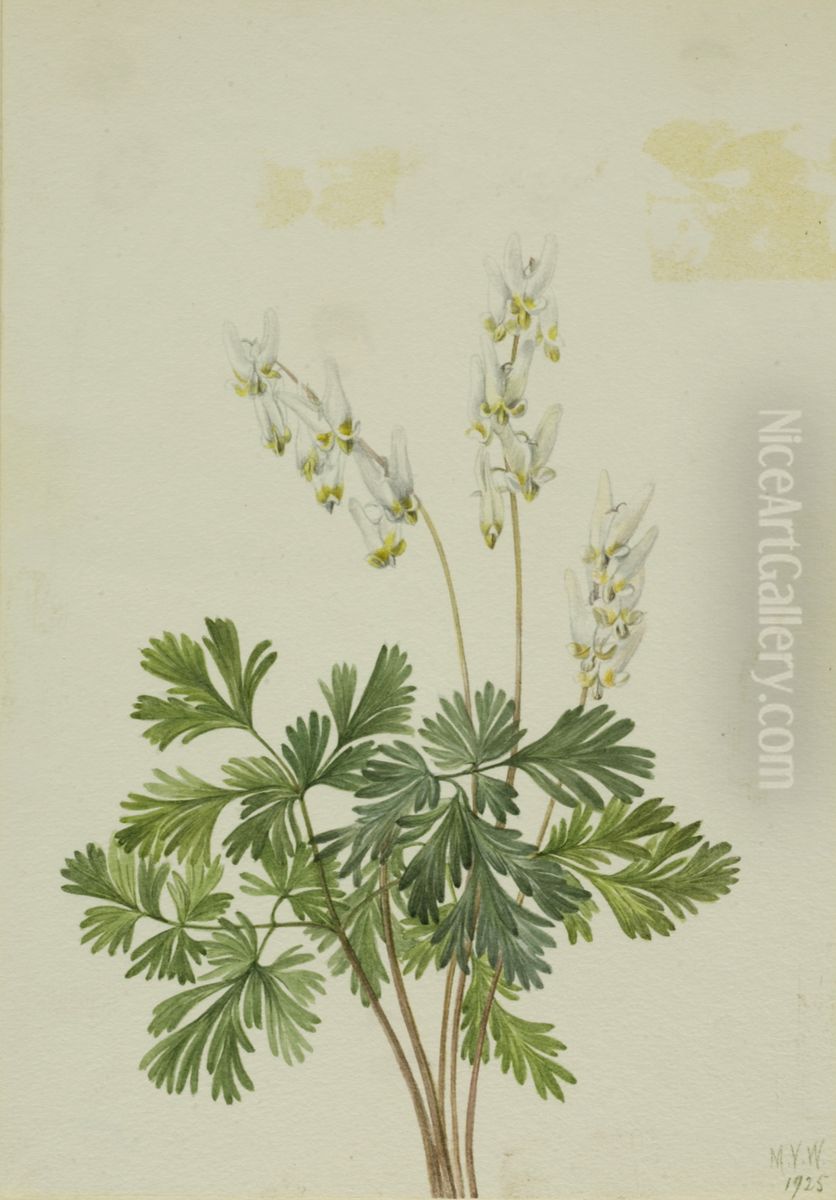 Dutchman's Breetches (Bikukulla cucullaria) Oil Painting by Mary Vaux Walcott
