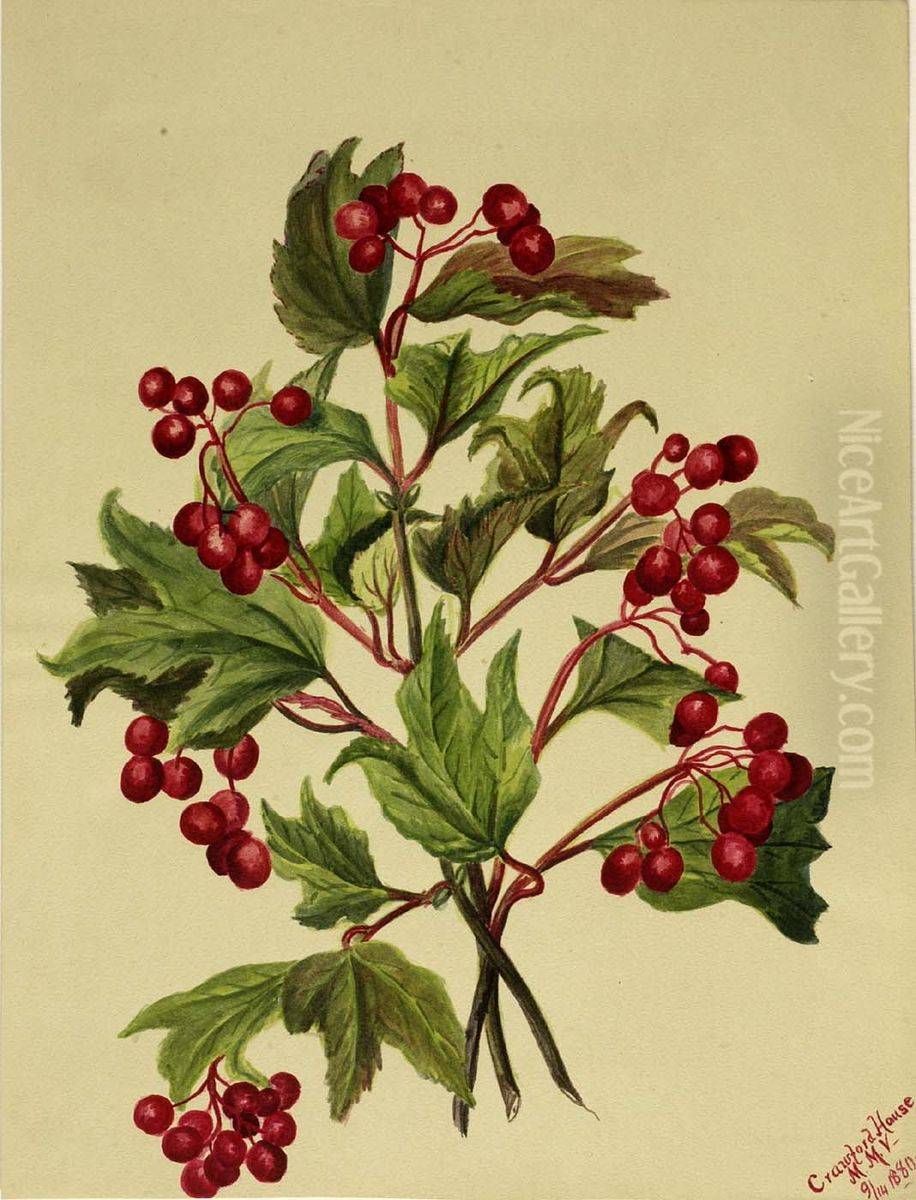 Grouseberry (Viburnum americanum) Oil Painting by Mary Vaux Walcott