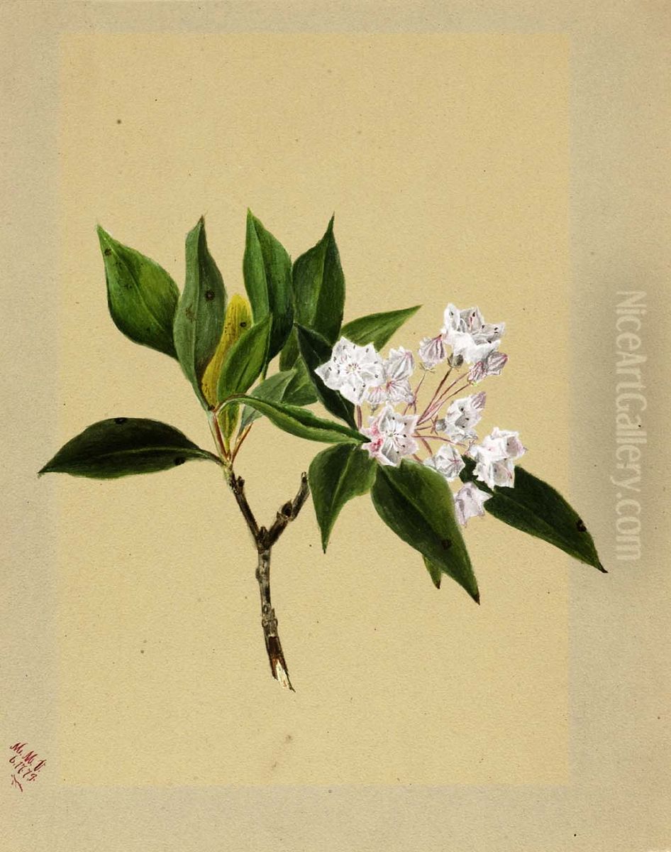 Mountain Laurel (Kalmia latifolia) Oil Painting by Mary Vaux Walcott