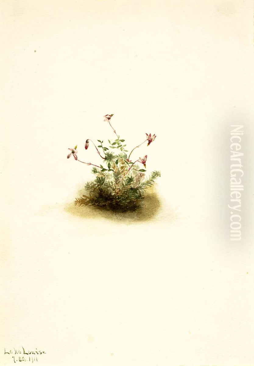 Small Cranberry (Oxycoccus palustris) Oil Painting by Mary Vaux Walcott
