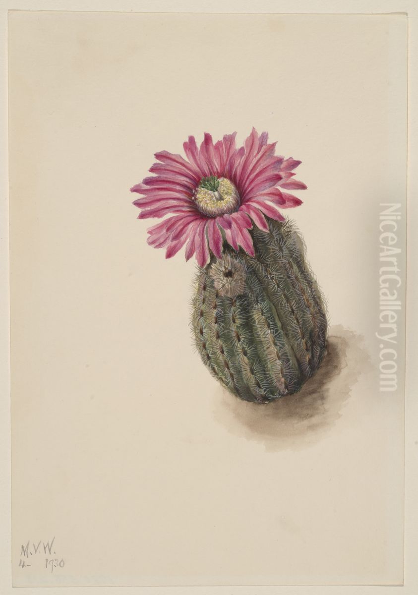 Turkeyhead Cactus (Echinocerus perbellus) Oil Painting by Mary Vaux Walcott