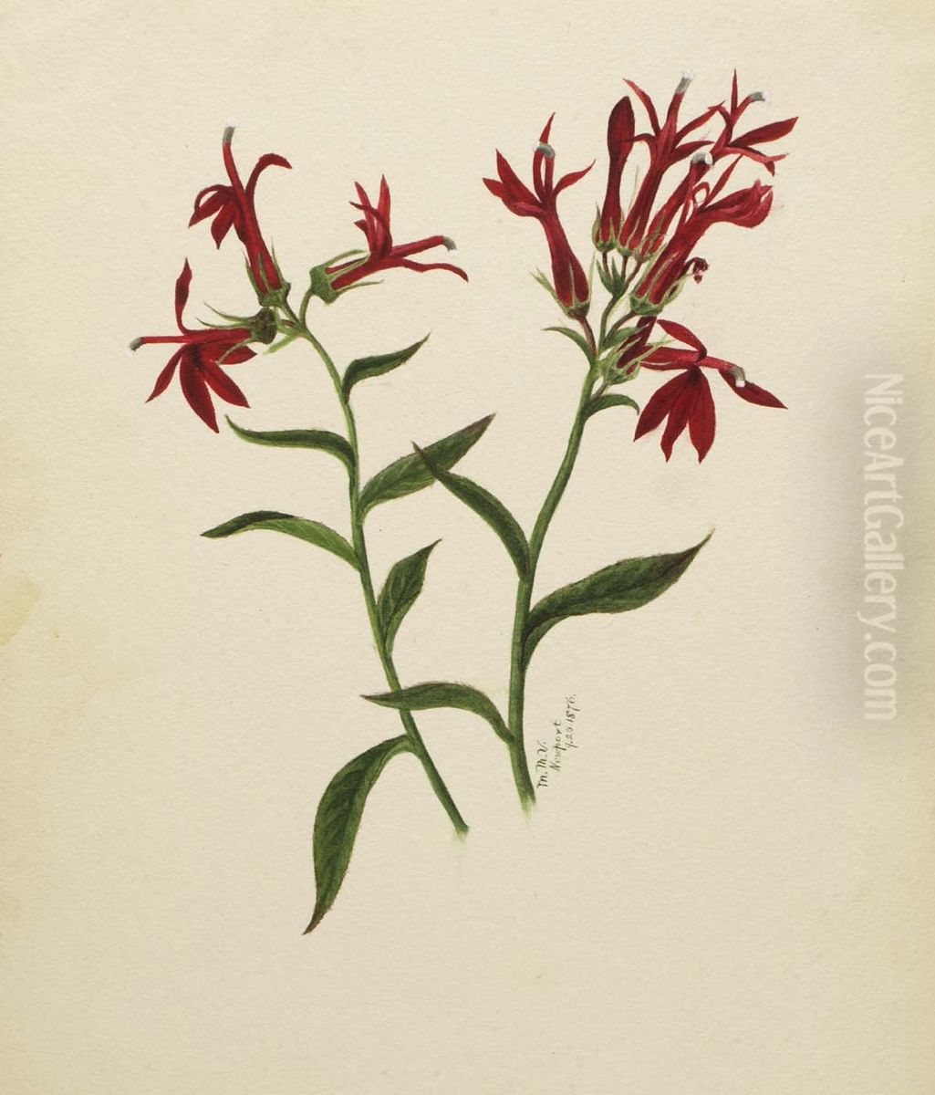 (Untitled--Flower Study) Oil Painting by Mary Vaux Walcott