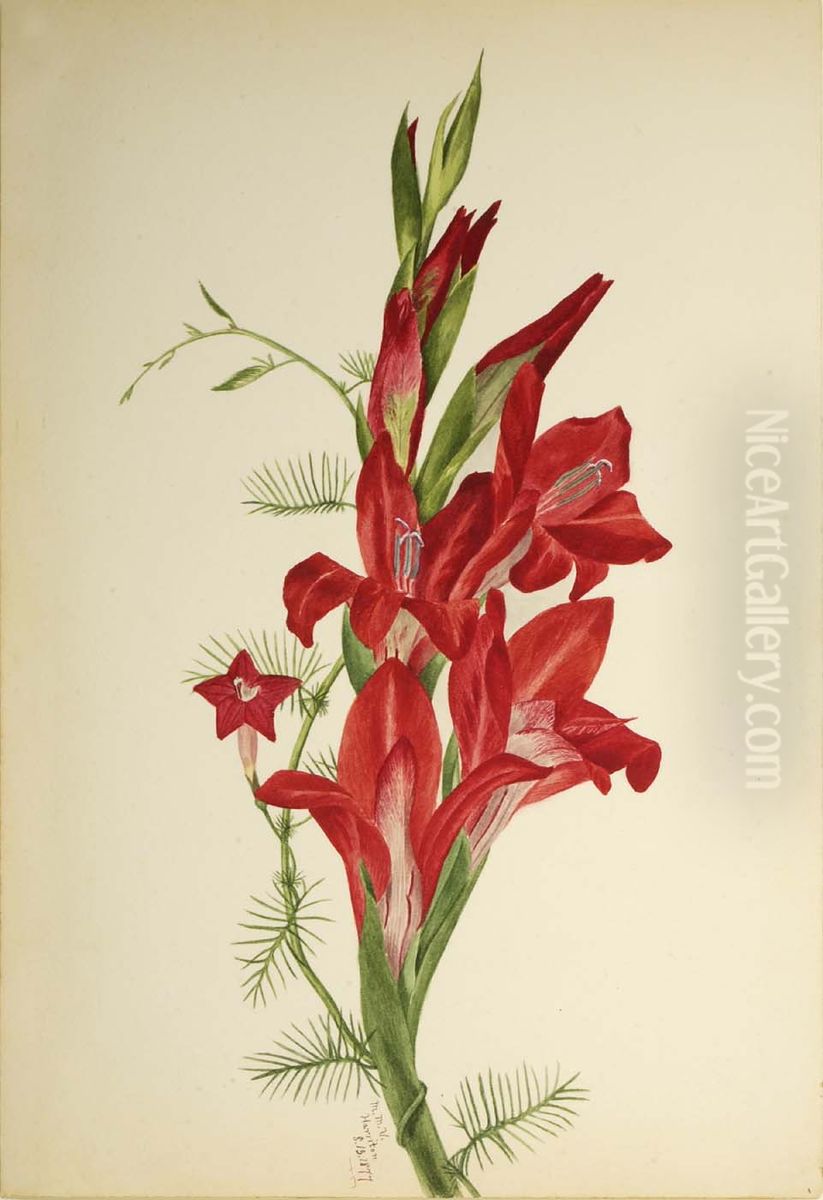 Cannas and Cypress Vine (Canna species and Ipomoea quamoclit) Oil Painting by Mary Vaux Walcott