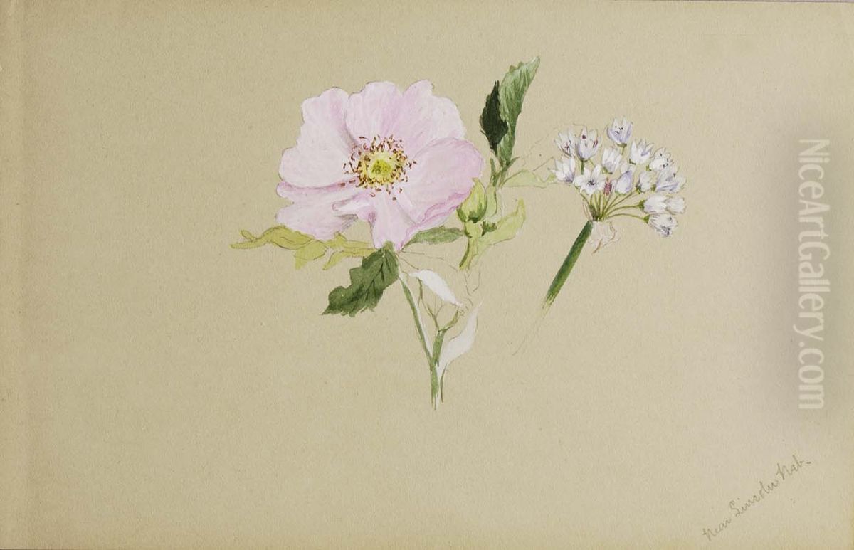 (Untitled--Flower Study) Oil Painting by Mary Vaux Walcott