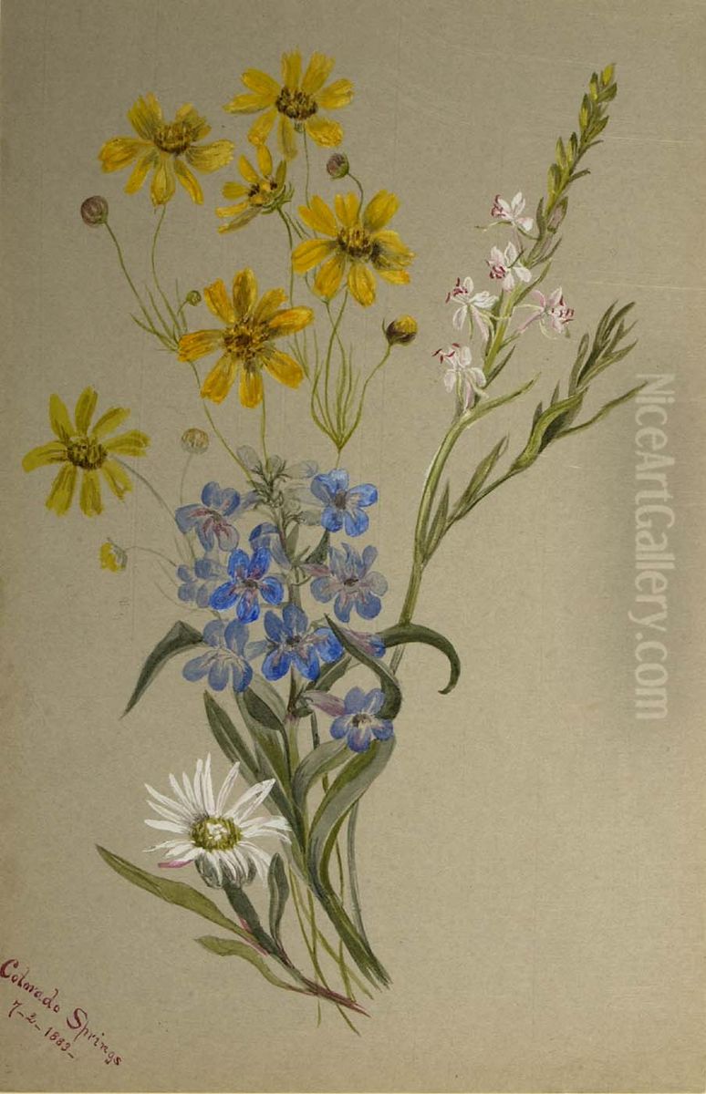 (Untitled, Group of Flowers) Oil Painting by Mary Vaux Walcott