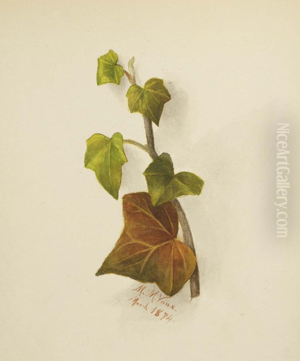 Untitled (Ivy) Oil Painting by Mary Vaux Walcott