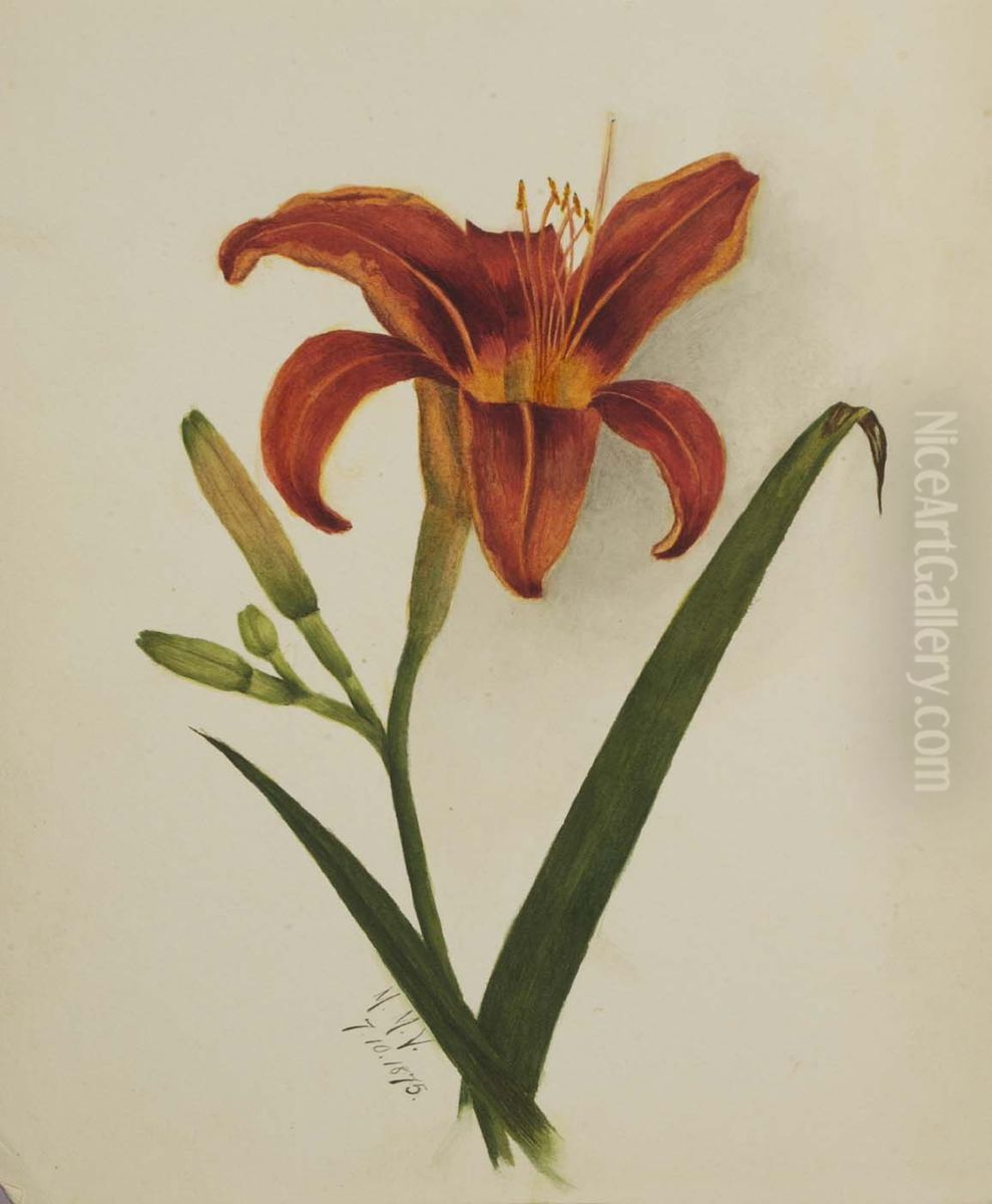Untitled (Lily) Oil Painting by Mary Vaux Walcott