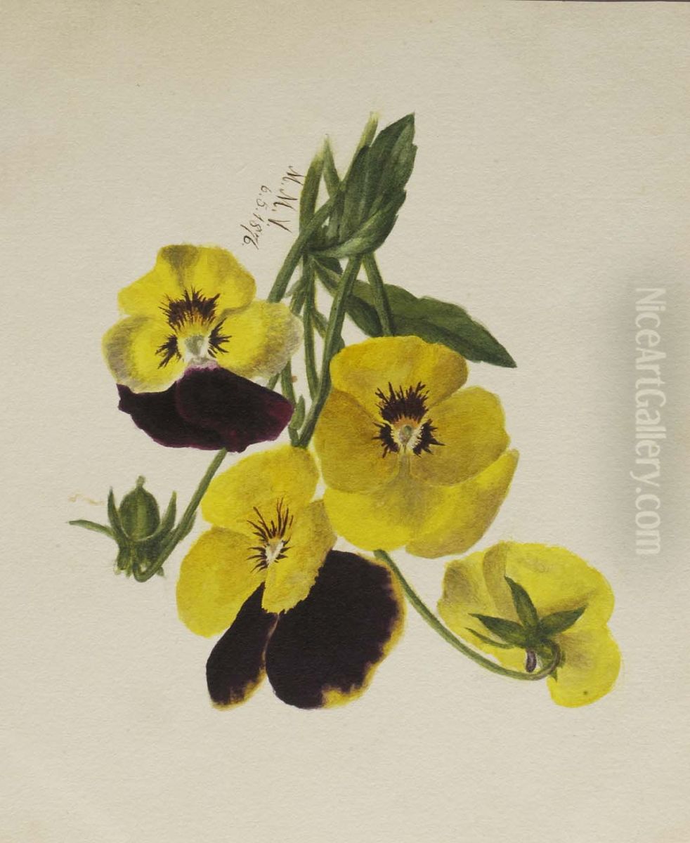 Untitled (Pansies) Oil Painting by Mary Vaux Walcott