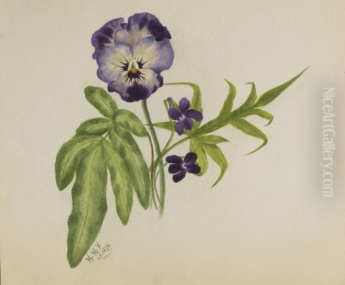 Untitled (Pansy) Oil Painting by Mary Vaux Walcott