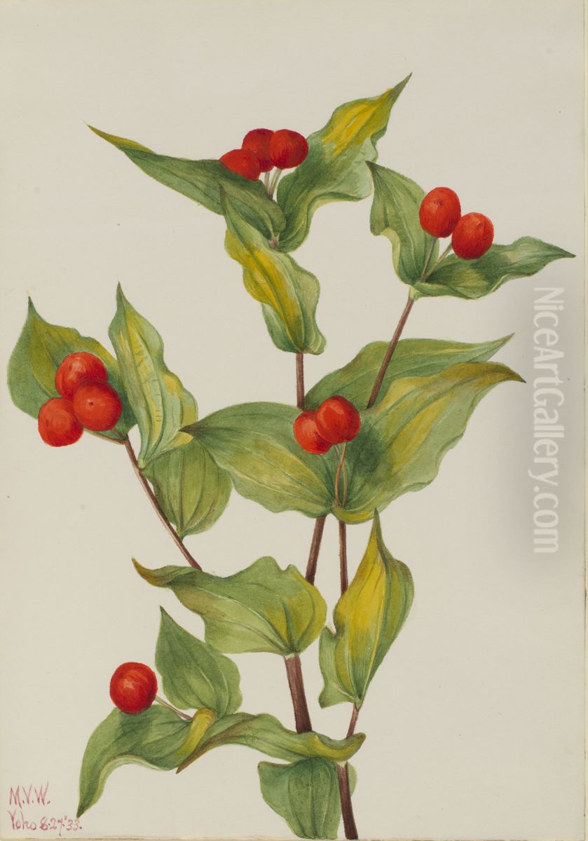 Fairy-bells (Disporum hookeri) Oil Painting by Mary Vaux Walcott