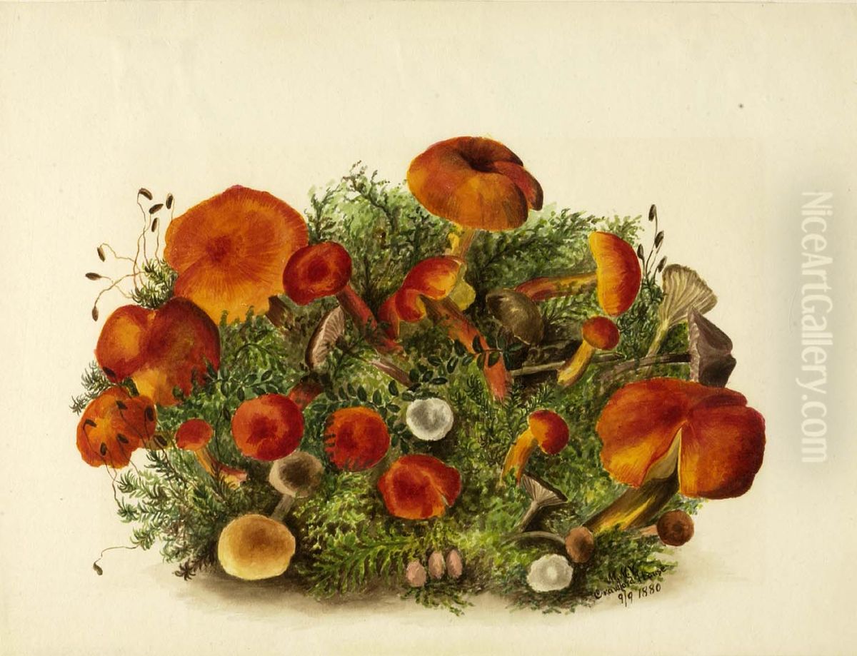 (Untitled--Study of Mushrooms) Oil Painting by Mary Vaux Walcott