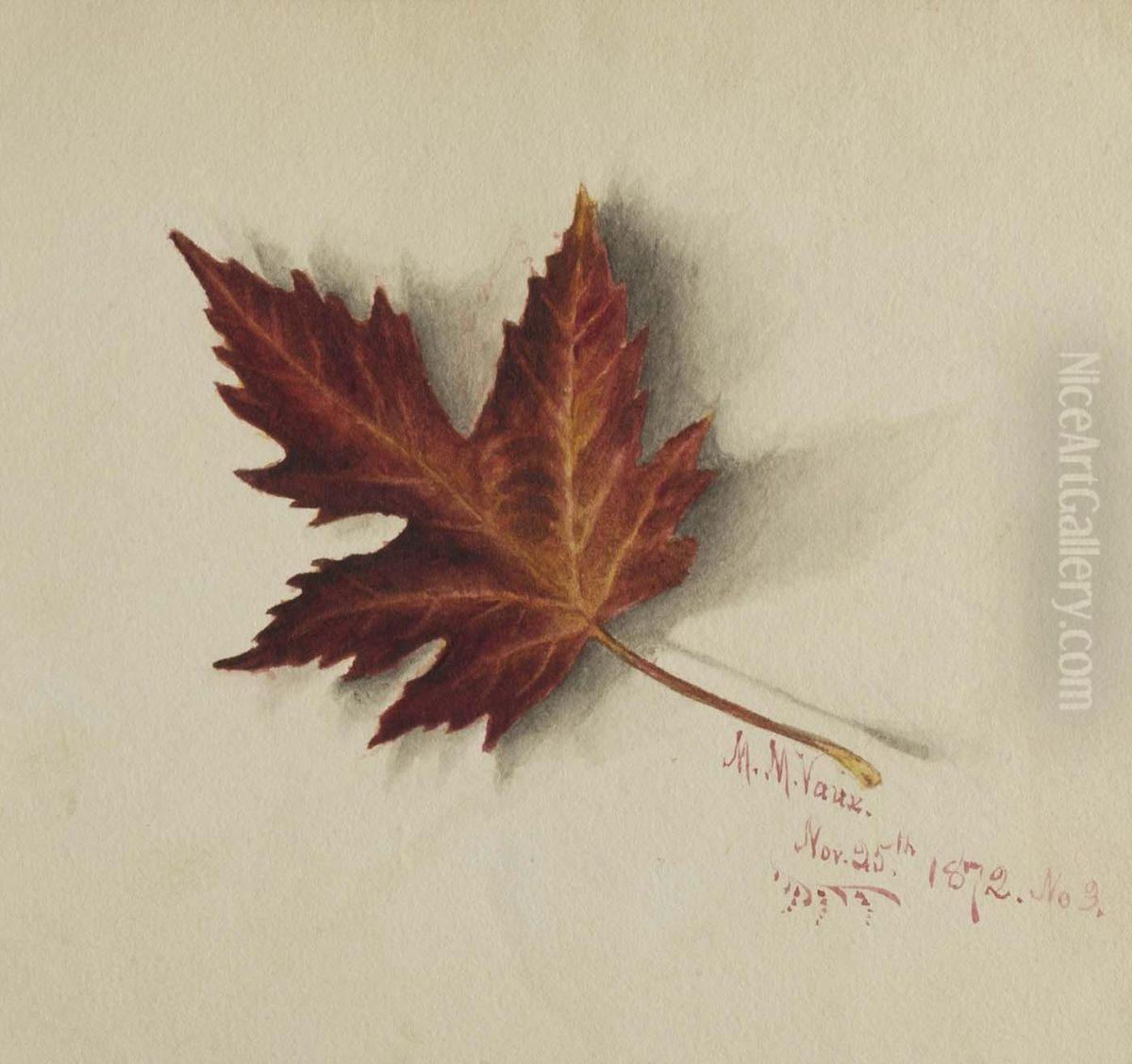 Untitled (Autumn Leaf) Oil Painting by Mary Vaux Walcott