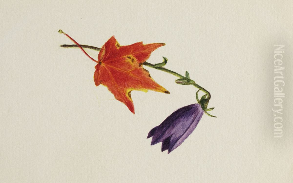 (Untitled) Oil Painting by Mary Vaux Walcott