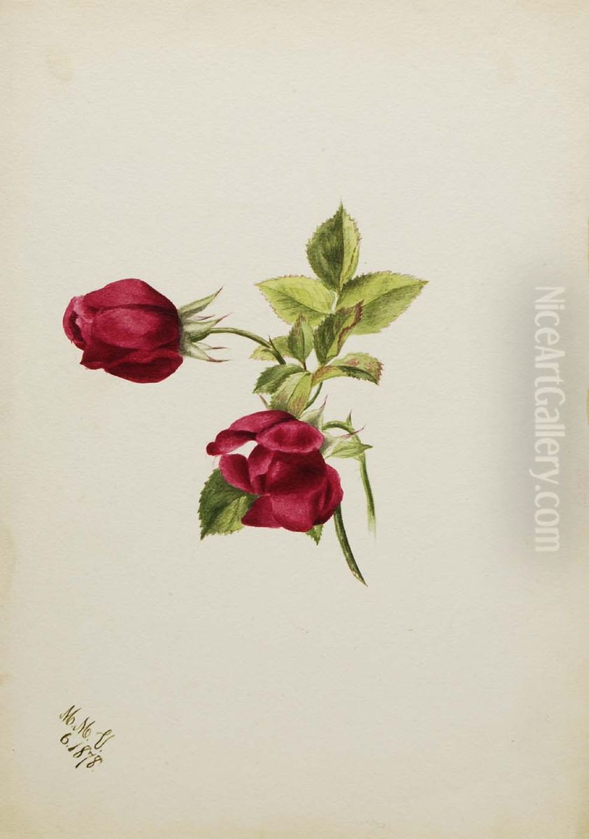 (Untitled--Rose) Oil Painting by Mary Vaux Walcott