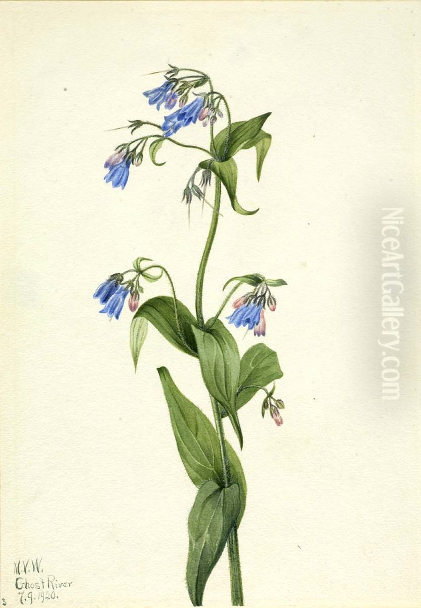 Western Bluebells (Mertensia paniculata) Oil Painting by Mary Vaux Walcott