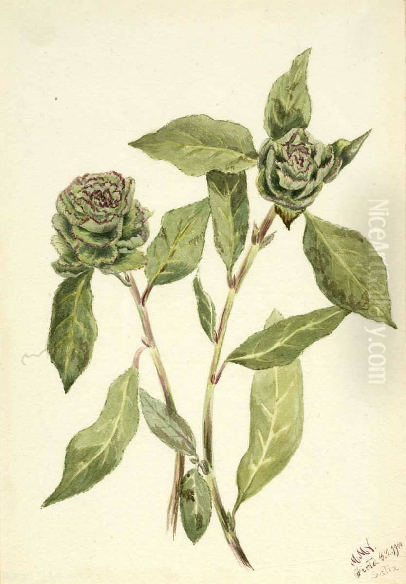 Willow (Salix) Oil Painting by Mary Vaux Walcott