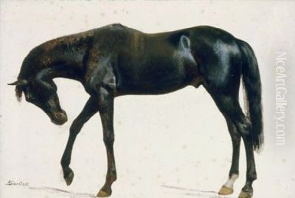 Black Horse Oil Painting by Albert Bierstadt